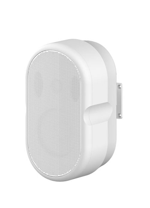 TS-605Y Conference Room Wall-mounted Speaker